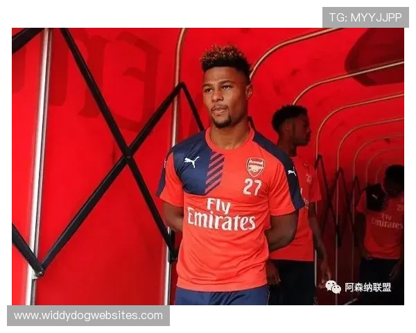 格纳布里职业生涯轨迹