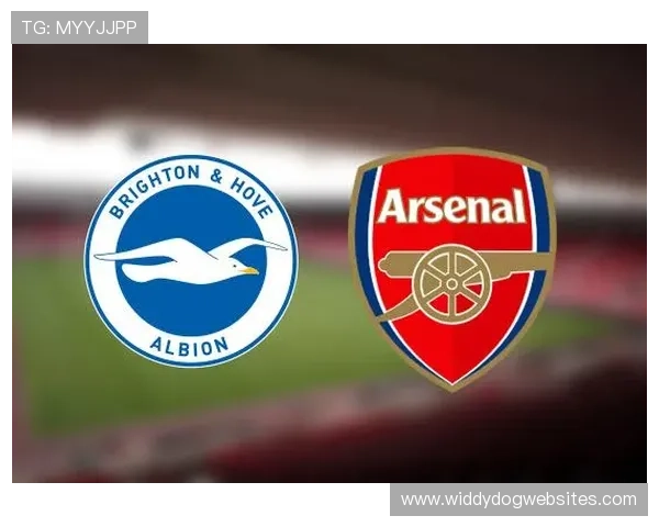 水晶宫球队结构解析：当前阵容框架与战术体系分析