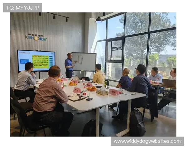 科雷亚合同细节