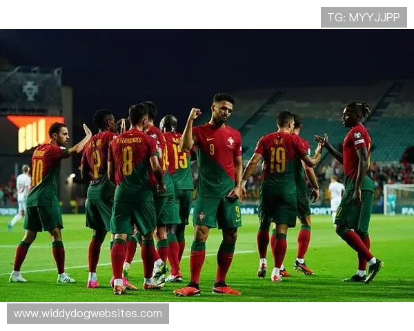 维尼修斯国家队大赛关键场次发挥稳定性分析