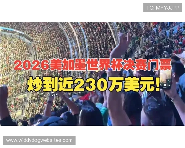 2026世界杯开幕战门票不同区域价格对比