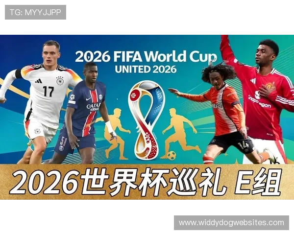 世界杯E组积分预测与排名分析 世界杯E组积分预测与排名分析